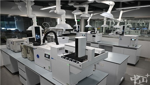 聚焦火炬片区丨科技硬实力锻造健康新“食”力