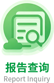 报告查询